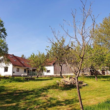 Die Alm In Schoellbuechl, Privatzimmer Sankt Martin  Eksteriør bilde